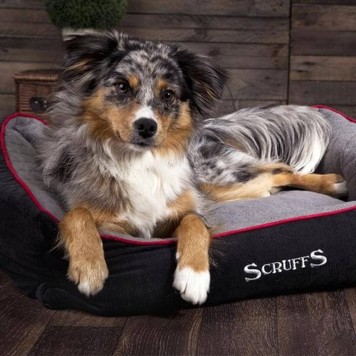 Scruffs thermal self heating - thermal,