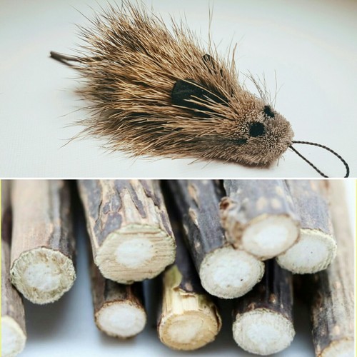 Silvervine cat toy set chew - toy, -chew