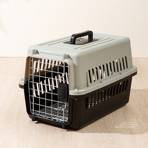 Puppy cat dog transport - puppy,