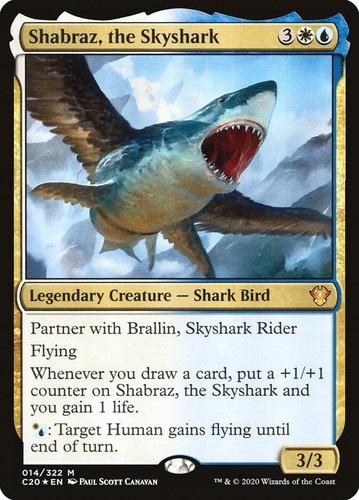 Shabraz the skyshark foil m - shabraz,,