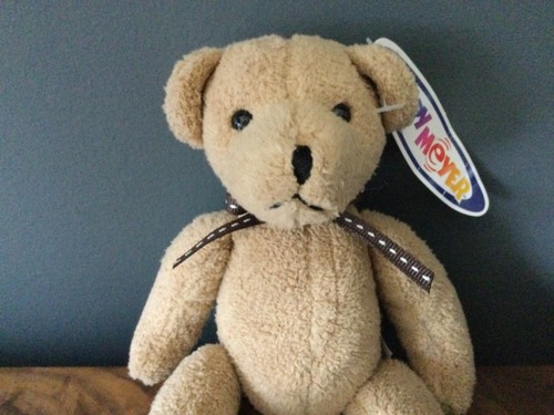 Mary meyer 2001 bear name - bear,