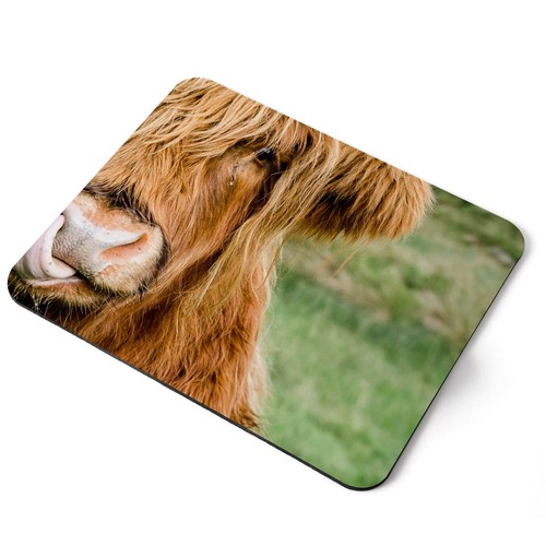 Mouse mat pad highland cow - highland,