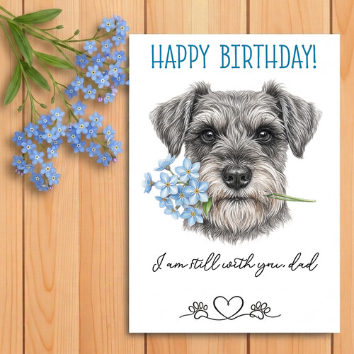 Miniature schnauzer dog - miniature,