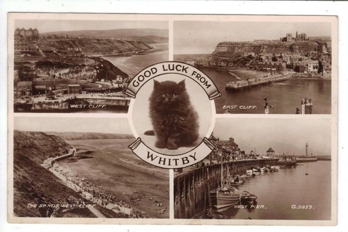 Whitby views good - views,, luck