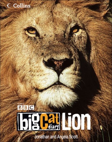 Big cat diary - big,