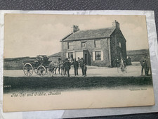 Cat and fiddle - cat,