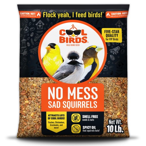 Mess sad squirrels - squirrels, hot