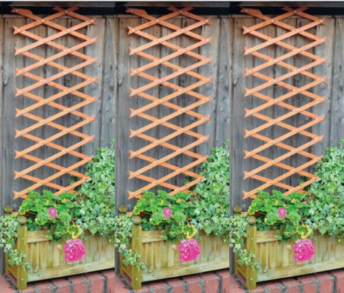 Garden wooden expanding - wooden,