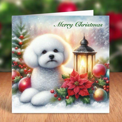 Bichon frise dog christmas - frise,