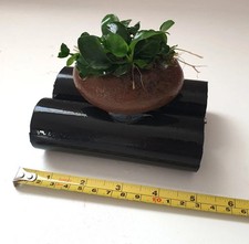 Aquarium Cave Shelter + Anubias Bonsai | Shrimp Fry Small Fish Breeding Hiding