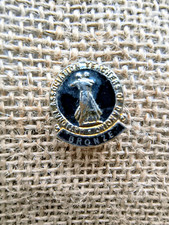 Vintage Enamel Badge - National Association Teachers Of Dance - Bronze