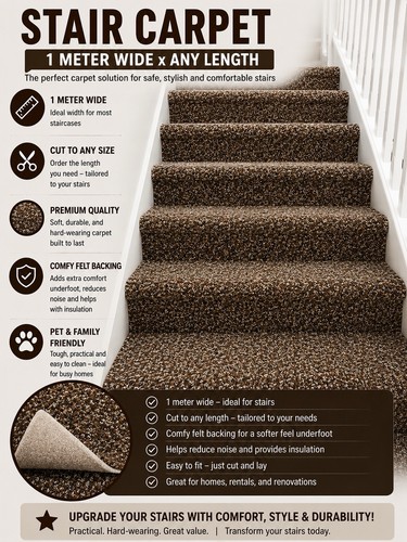 Stairs hall carpet brown any - hall,
