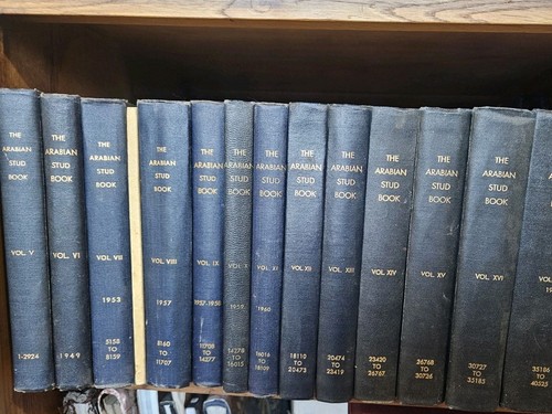 Arabian stud book volumes - arabian,