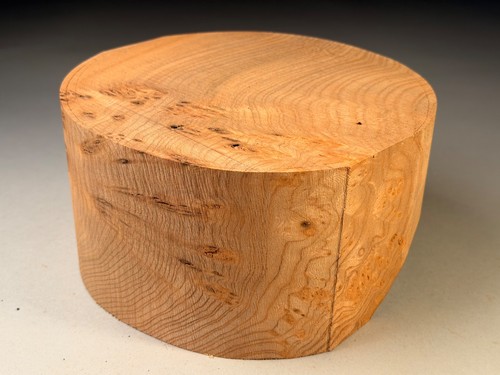 Burr elm wood turning bowl - elm,