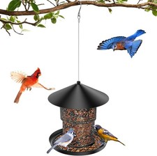 Wild Bird Feeder Hanging for