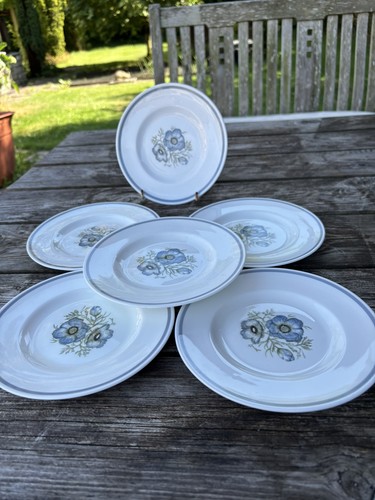 Vintage wedgwood wedgewood - 6, x