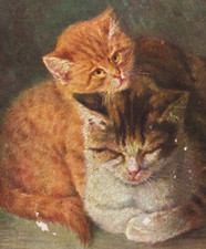 Edwardian Hildesheimer Postcard Cute Cats Artist Signed Stacks Posted 1907