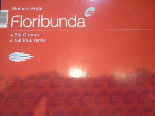 Mothers pride floribunda - mothers, /