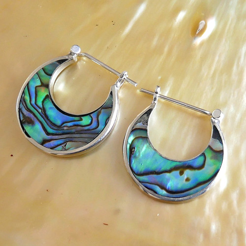Paua abalone shell earrings - shell,