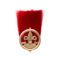 VINTAGE  Boy Scout Officers