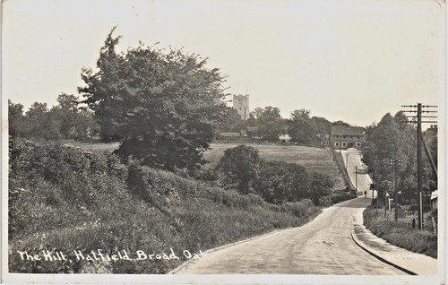 Hatfield broad oak - hatfield,