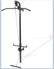 Lat pulldown Bicep curls Tricep push down Machine