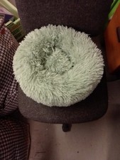 Green pet bed warm donut cats dogs, pups, Chihuahua, Kitten cute, fluffy 50 cm