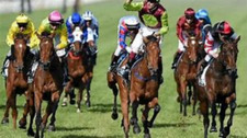 THE WINNING 24/7 HORSE RACING