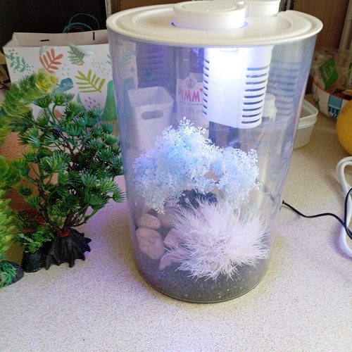Small cylinder acrylic - small,