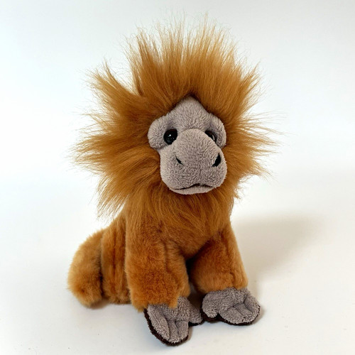 Ravensden golden lion tamarin - golden,