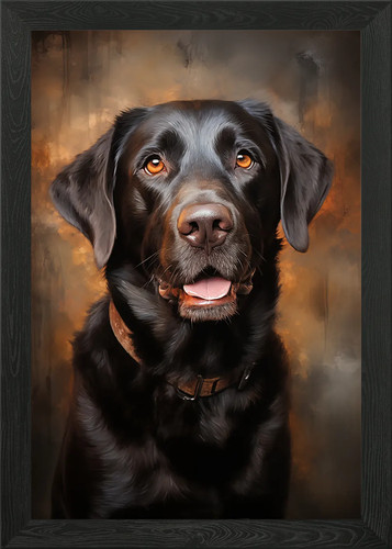 Chocolate labrador retriever - chocolate,