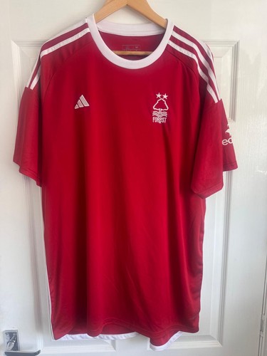 Nottingham forest home - nottingham,
