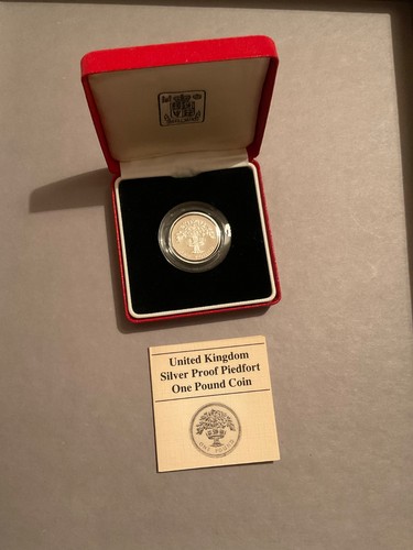Silver proof piedfort one - proof,
