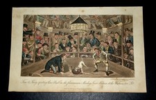 TOM & JERRY at WESTMINSTER PIT