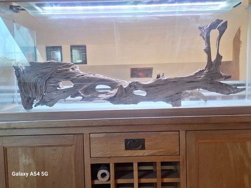 Very large stunning piece - stunning, of