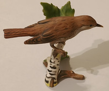 W.Goebel Nightingale On Branch