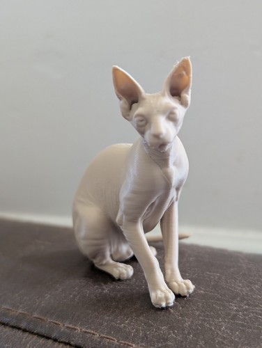 Sphynx hairless cat statue - hairless,