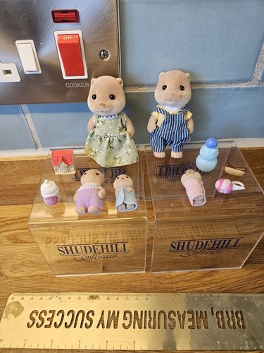 Vintage sylvanian families - vintage,