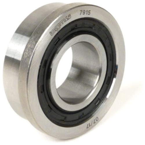 Bgm pro ball bearing rear - bgm,