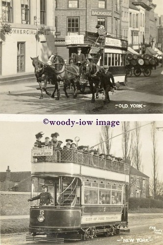 A0645 york horse - a0645,