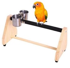 Parrot Play Wood Stand Bird