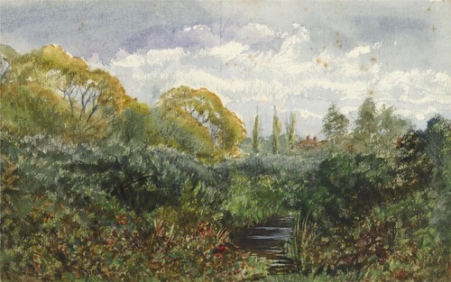 Peach watercolour - h,