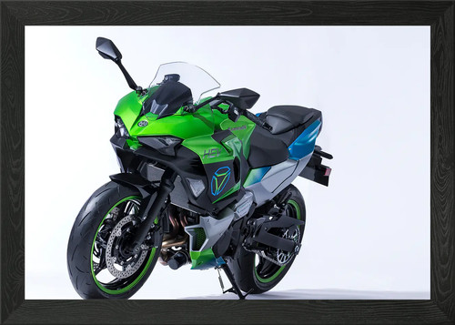 Kawasaki ninja se framed - ninja,