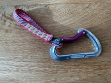 DMM Carabiner