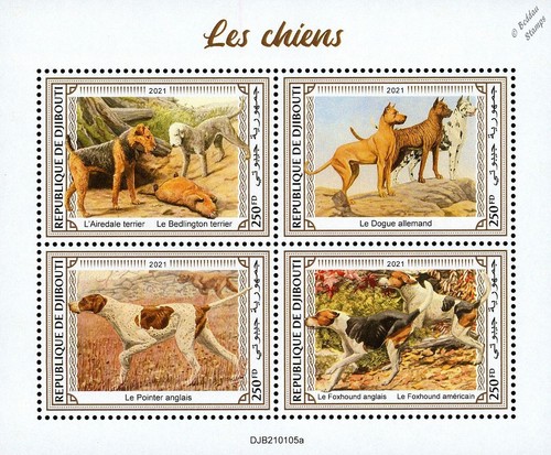 Dogs terriers great - dogs, (terriers/great