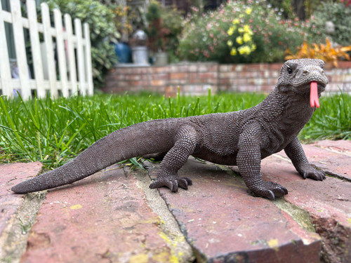 Vivid arts komodo dragon - arts,