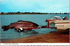 Postcard Huge Fish on Vintage