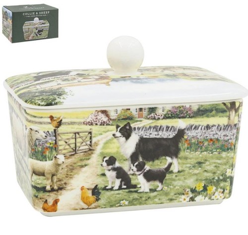Border collie and - and, sheep