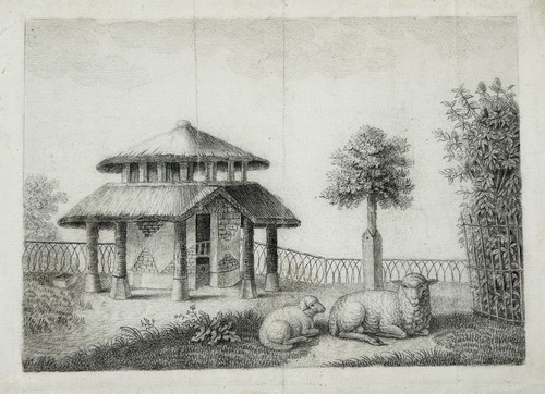 Sheep pasture with - sheep, on