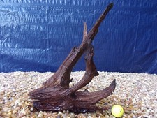 Large Driftwood 16"x13"x09"